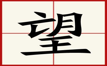 2024我的希望作文7篇