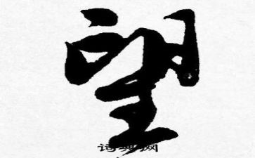 工作总结个人展望6篇