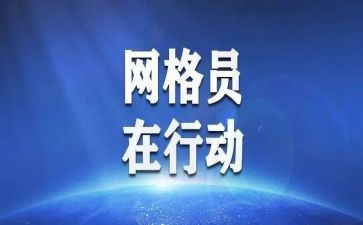村网格长述职报告参考6篇
