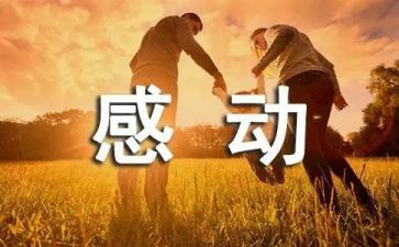 感动亲情的作文5篇