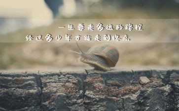 党员微感悟心得体会8篇