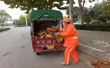 保卫工作个人年终总结7篇