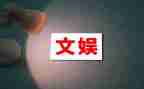 文娱部个人总结6篇