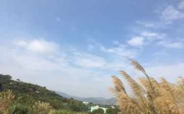 我的一天的作文500字6篇