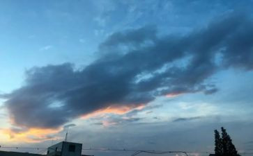 我的一天作文600字8篇