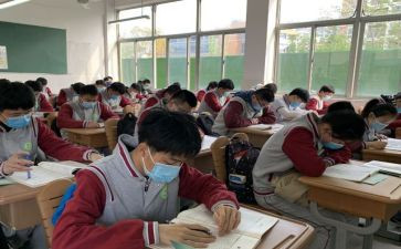 我们的班级树教案6篇