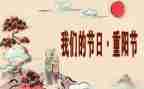 我们的节日活动方案优质5篇