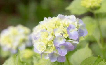 我心中你最美600字作文参考6篇