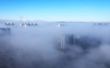 雾都孤儿的读后感400字8篇