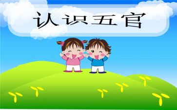 五官科护士述职报告8篇