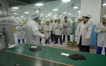 物料述职报告5篇