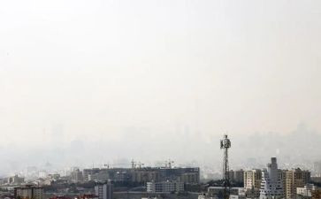 污染调查报告范文6篇