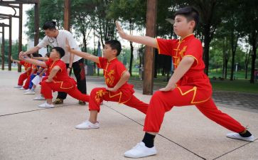 学武术心得体会6篇