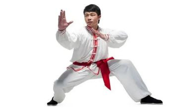 武术学习的心得体会7篇