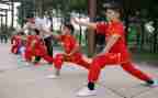 学武术心得体会6篇