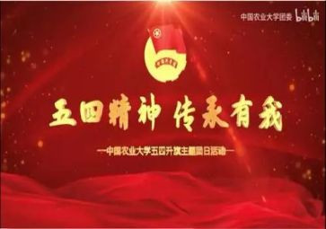 五四活动方案7篇