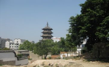 乌塔读后感作文7篇