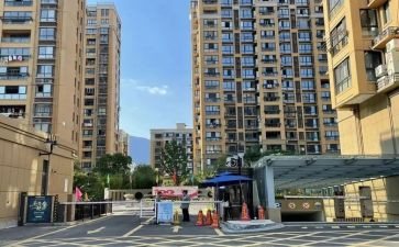 物业小区主任述职报告7篇