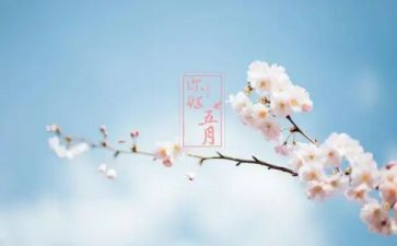 五月份的工作报告8篇