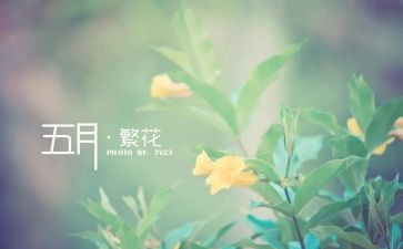 幼儿园中班五月工作计划5篇