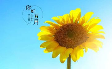 感恩五月的演讲稿7篇