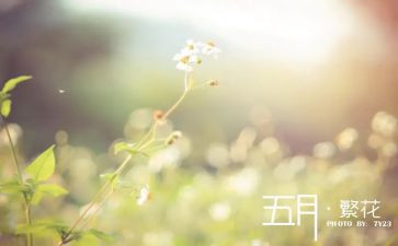 五月份幼儿园工作计划5篇