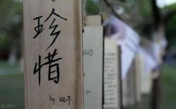 珍惜资源保护环境演讲稿6篇