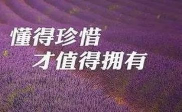 中班社会爱惜粮食教案6篇
