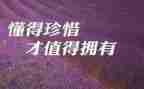 中班社会爱惜粮食教案6篇