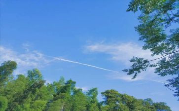 学生夏令营心得体会范文7篇