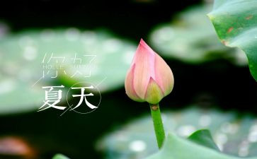 读夏洛的网的观后感模板8篇