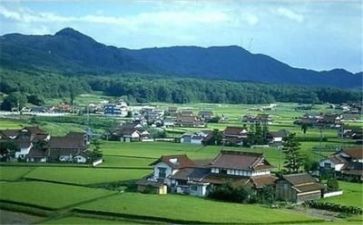 最新乡村医生述职报告6篇