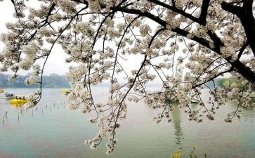 让我回想起作文精选6篇