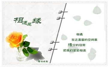 我与你相遇作文8篇