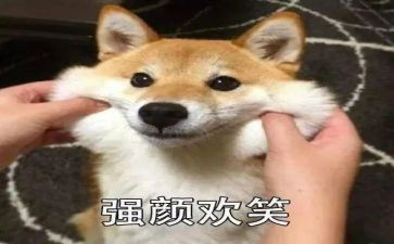 培训微笑礼仪心得体会5篇