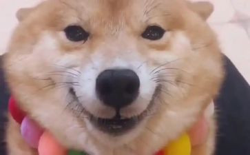 爱笑的我作文通用8篇