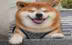 作文我好笑的事作文600字5篇