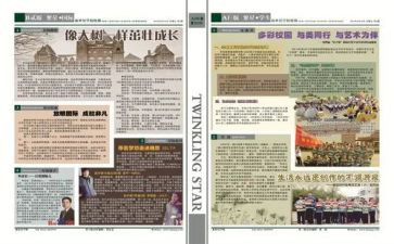 学校报告总结报告优秀8篇
