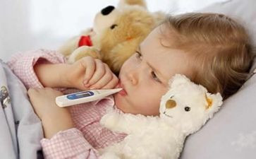 小孩与鹰观后感8篇