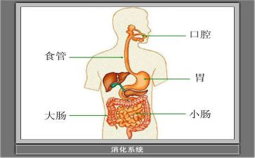 消化科个人总结7篇