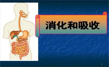 消化科的心得体会6篇