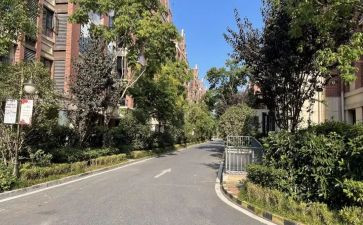 小区物业经理的述职报告6篇