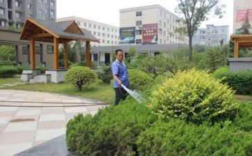 小区物业述职报告范文7篇