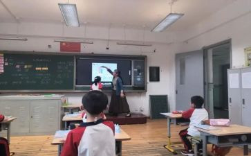 小数学教师述职报告参考5篇
