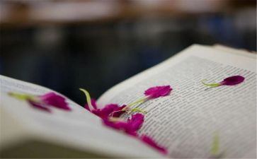 看小说读后感800字推荐7篇