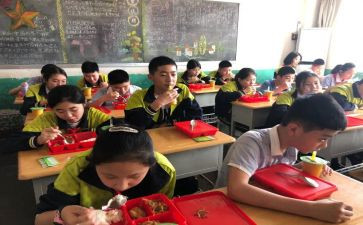 去小学化心得体会参考8篇