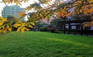 小学校园安全自查报告5篇