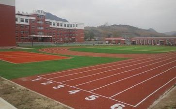 校园军训心得体会优质5篇