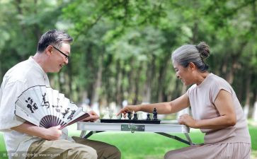 爱下棋的爷爷作文6篇