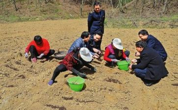 上下乡调研报告6篇
